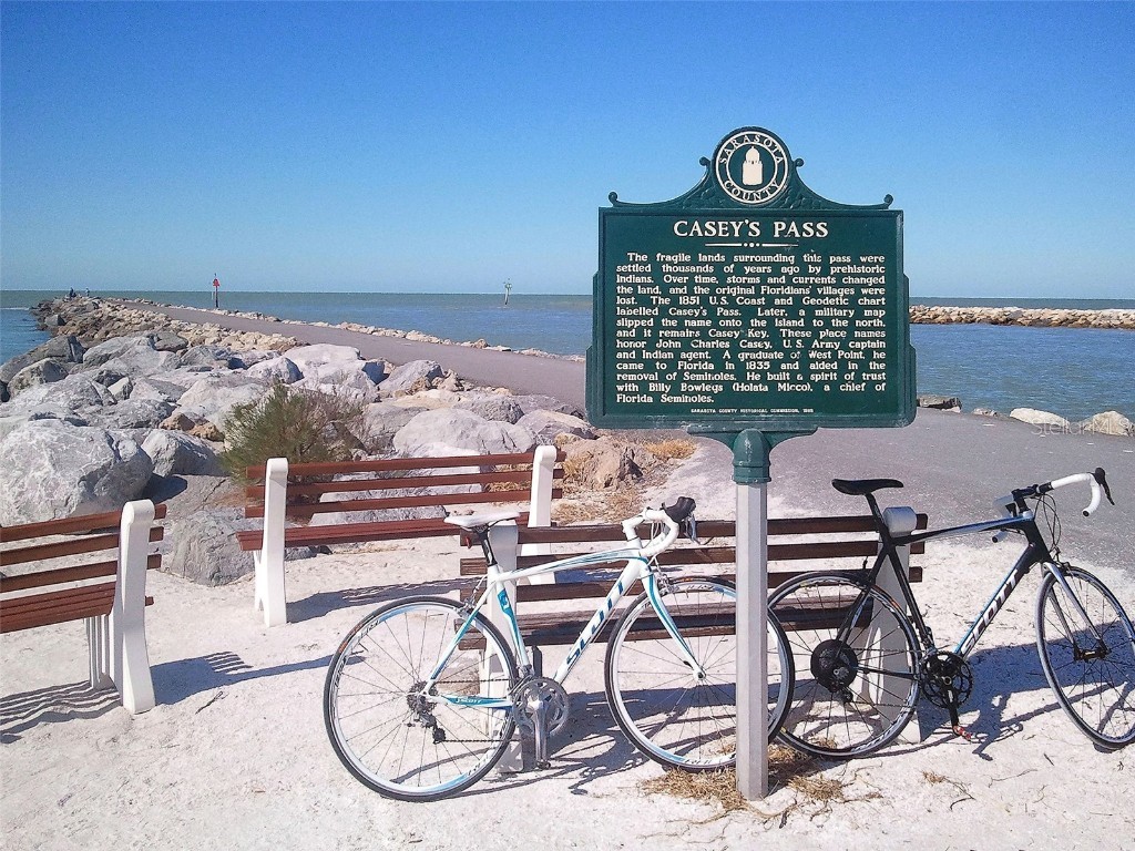 141 Altesino Court Venice FL 34292 N6140307 image63