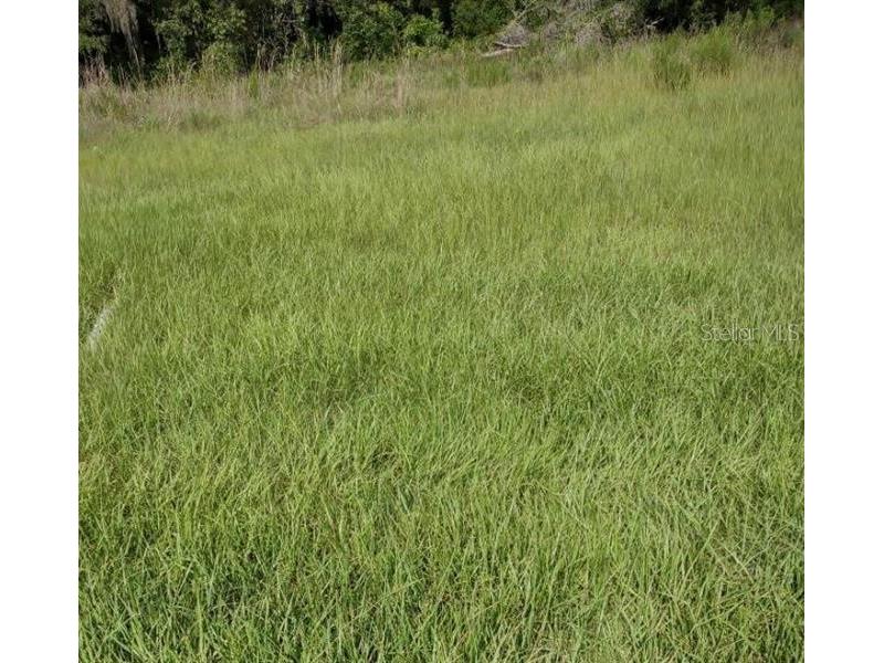 141 Angus Road Venus FL 33960 OM681261 image1