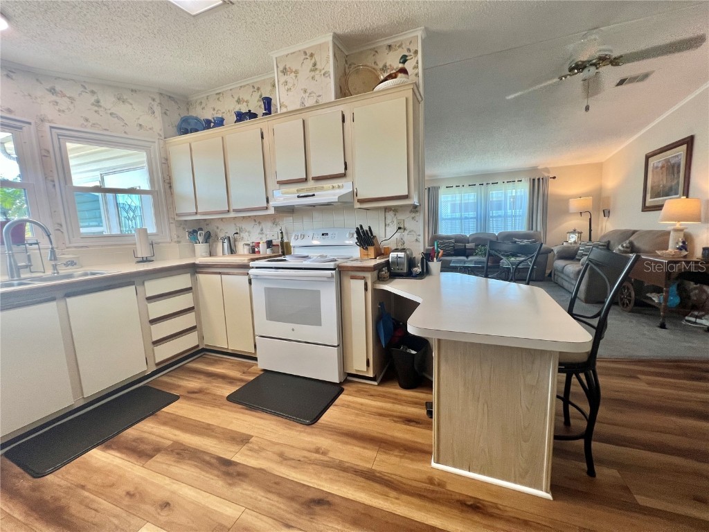 141 Bougainvillea Drive Leesburg FL 34748 G5100597 image15