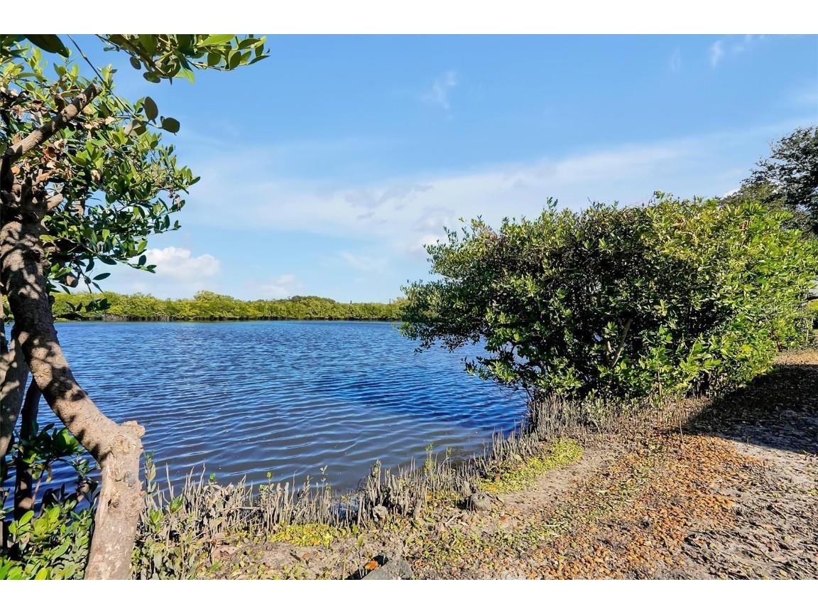 141 Cedar Dunes Drive New Smyrna Beach FL 32169 V4946160 image41