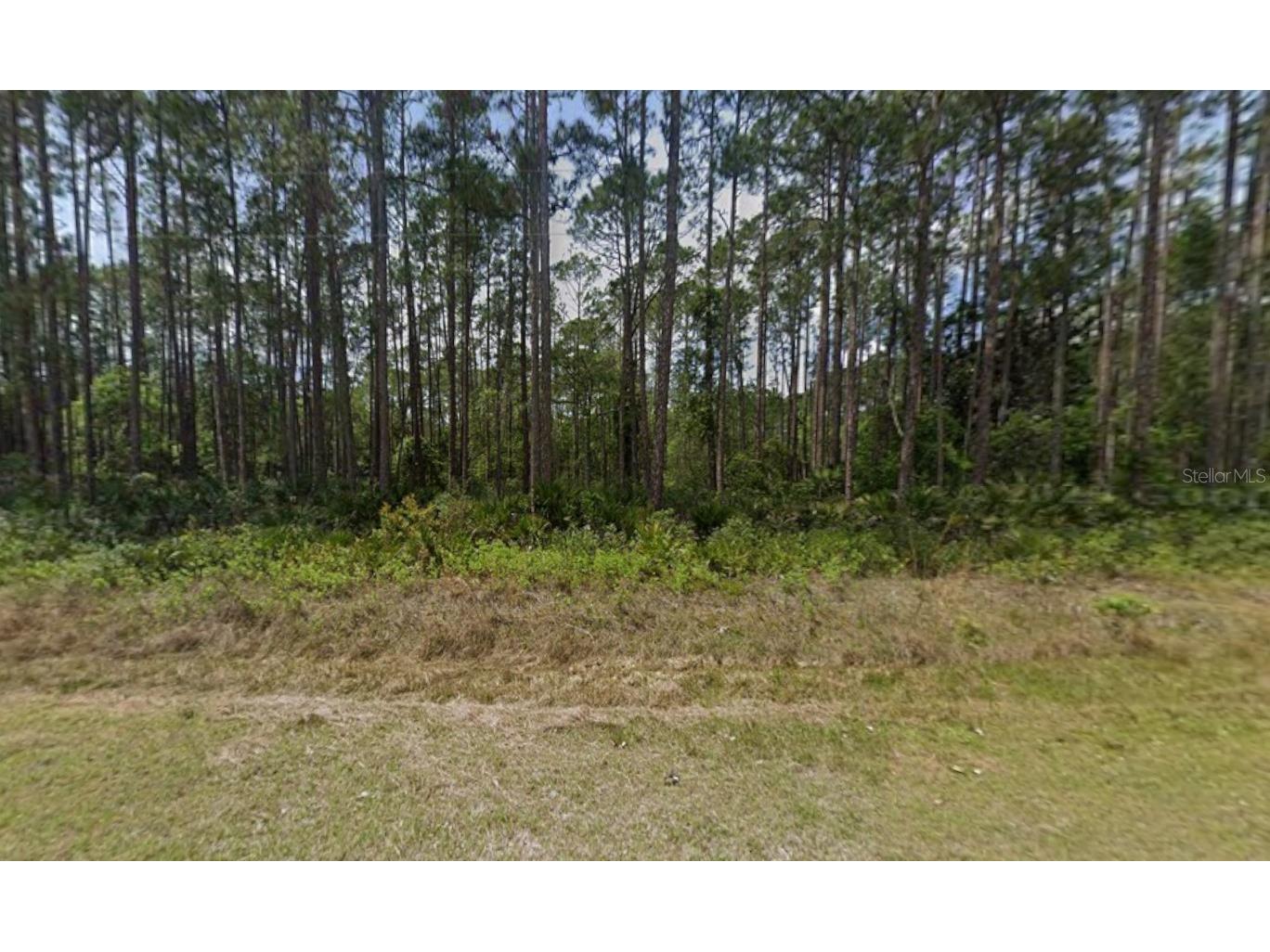 141 E Boundary Drive Georgetown FL 32139 K4903400 image1
