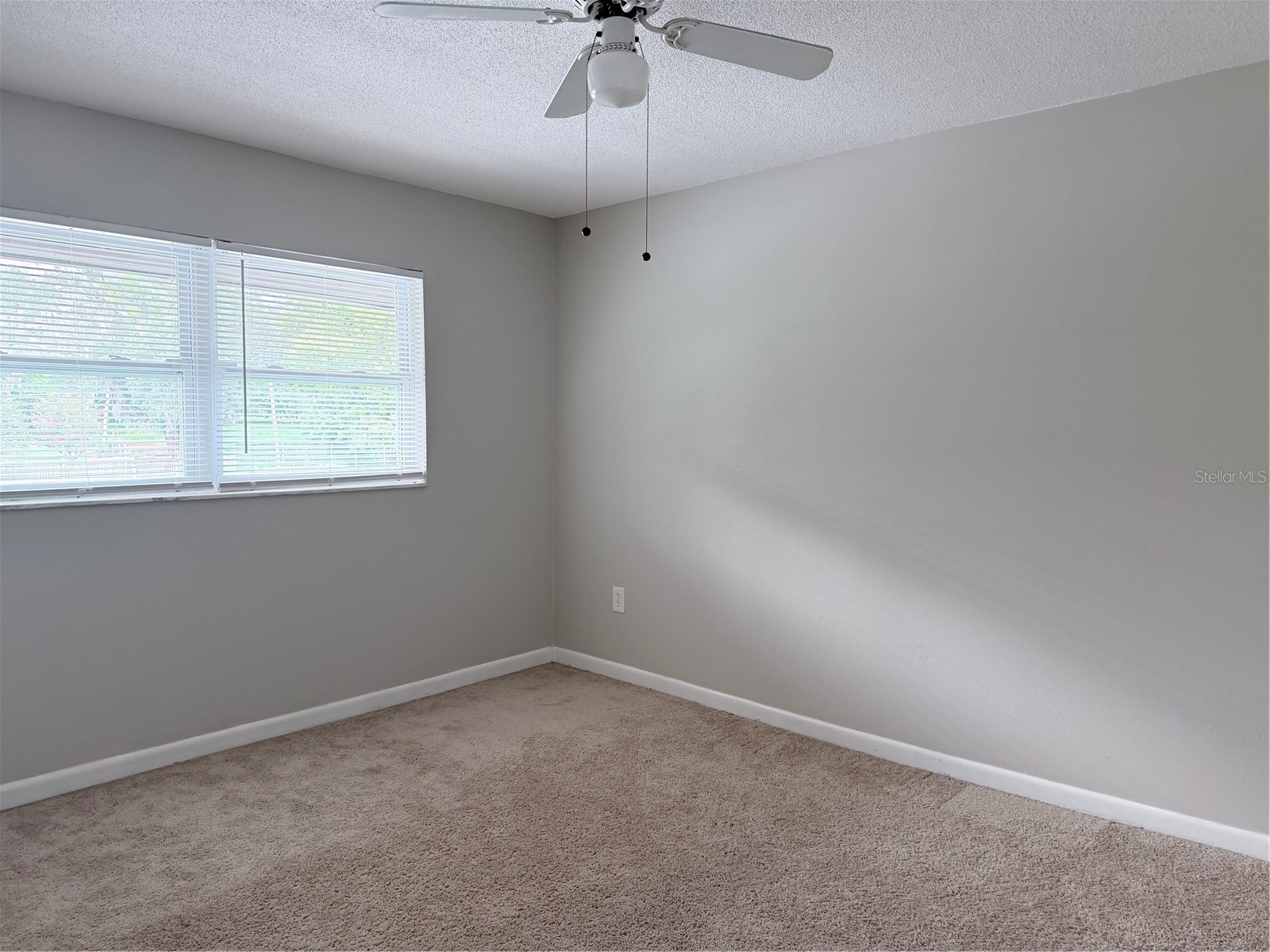 141 Fernery Road #A204 Lakeland FL 33809 L4963257 image17