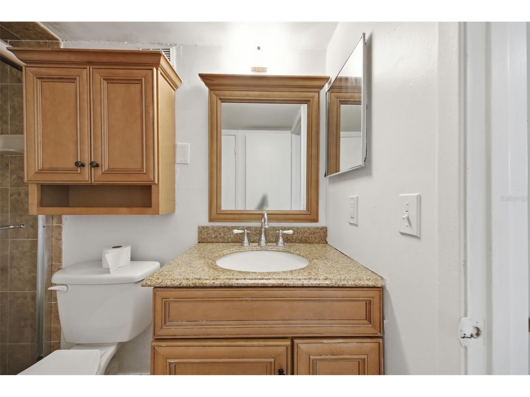 141 Fernery Road #A3 Lakeland FL 33809 TB8506742 image18