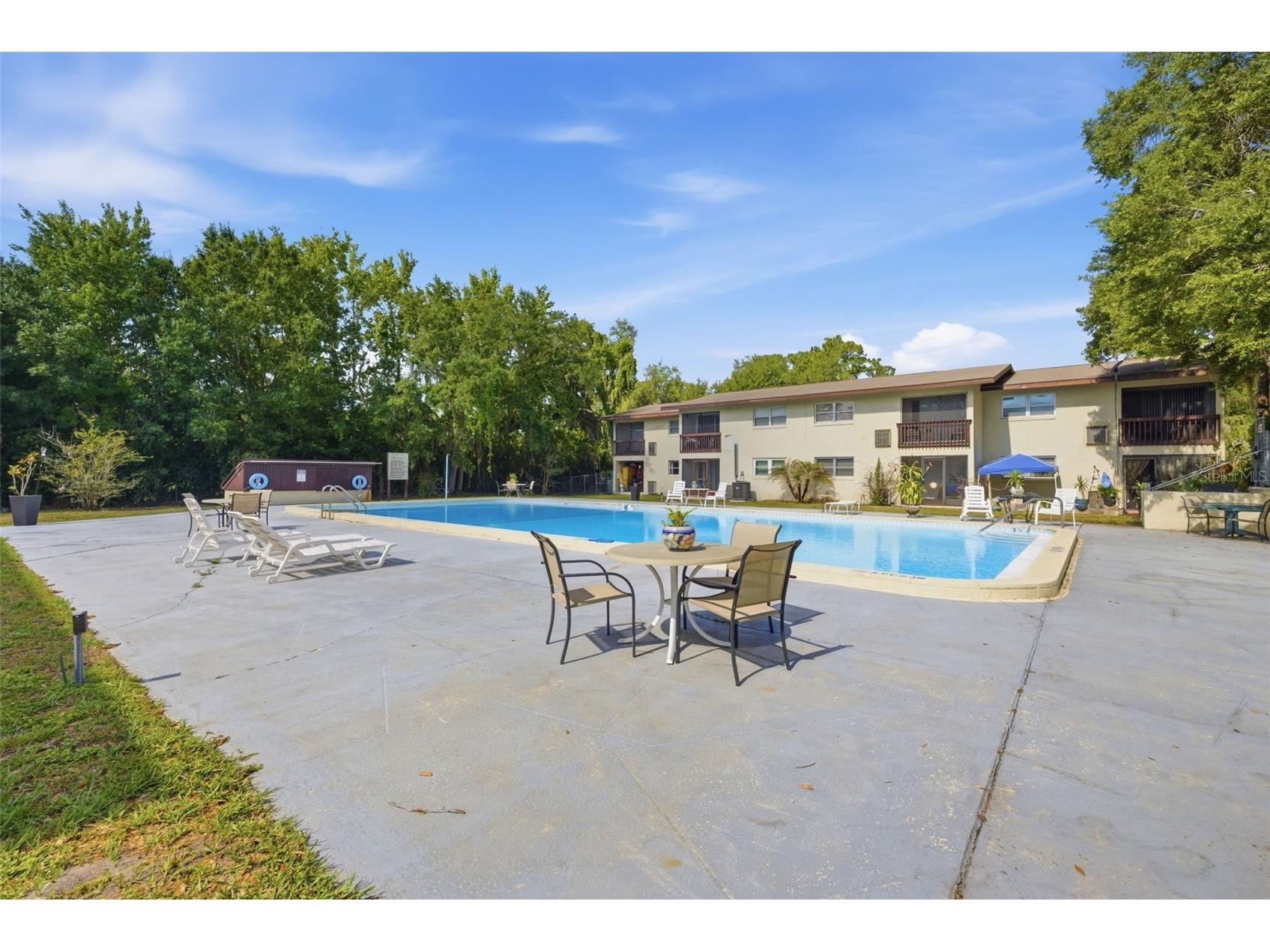 141 Fernery Road #A3 Lakeland FL 33809 TB8506742 image28