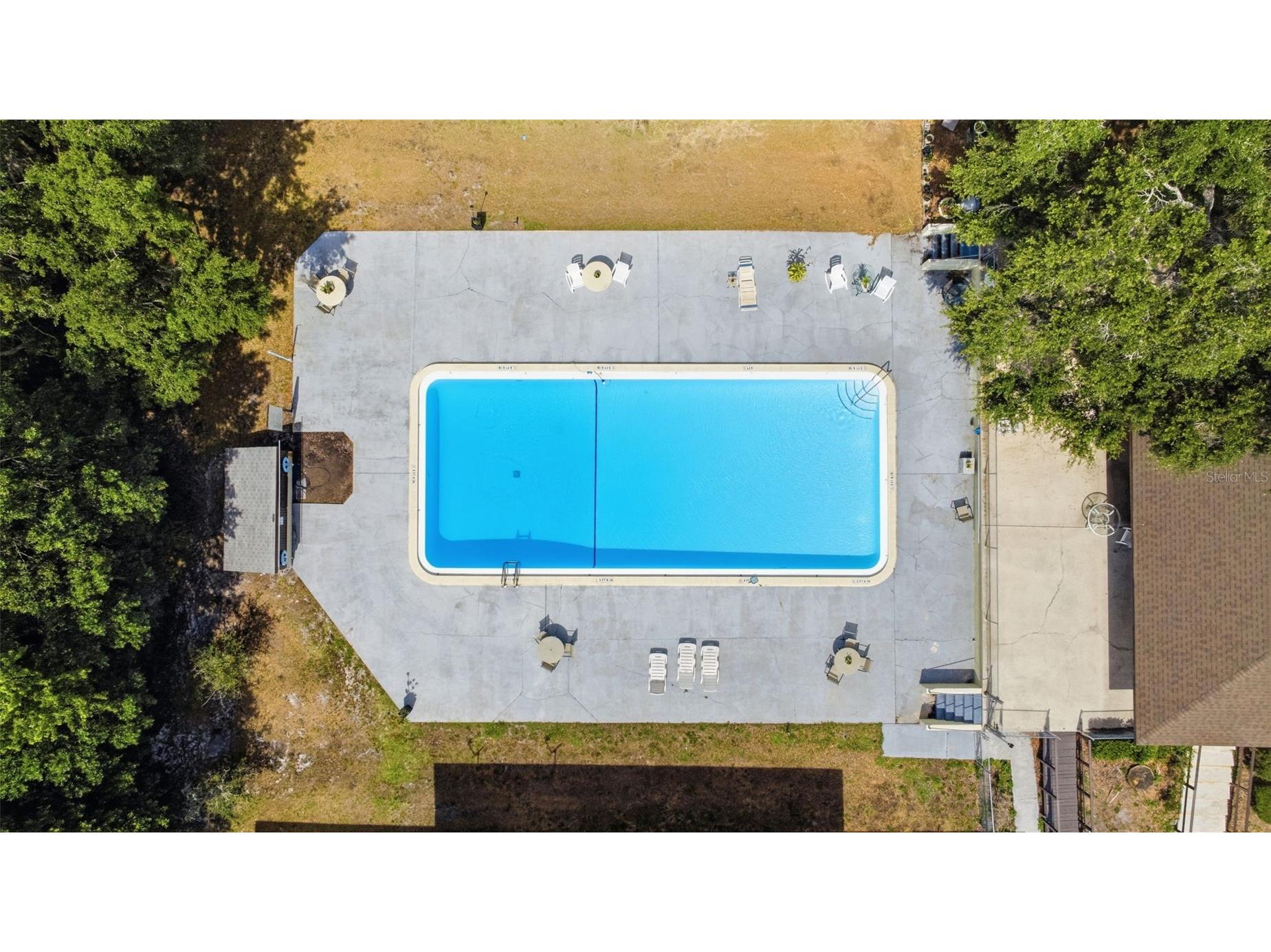 141 Fernery Road #A3 Lakeland FL 33809 TB8506742 image31