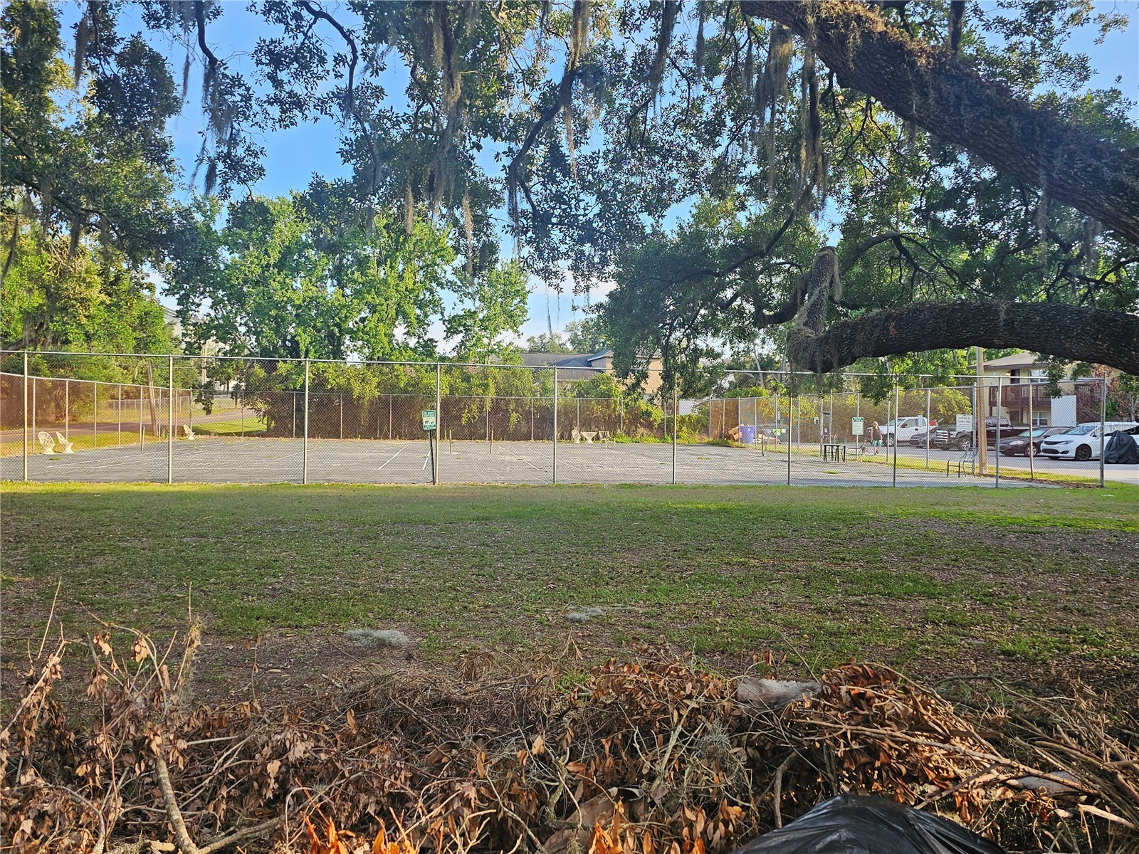 141 Fernery Road #A3 Lakeland FL 33809 TB8506742 image37