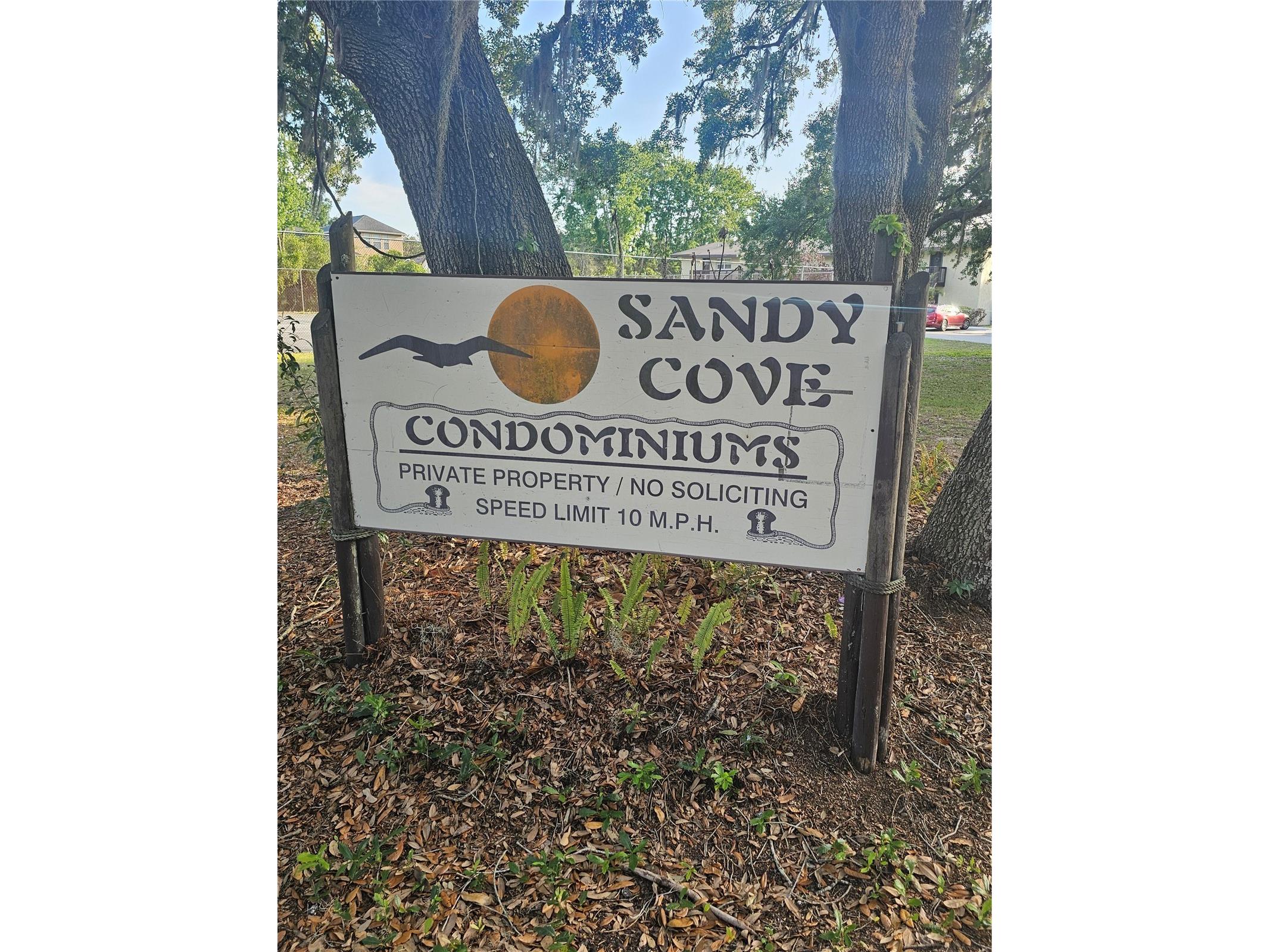 141 Fernery Road #A3 Lakeland FL 33809 TB8506742 image40
