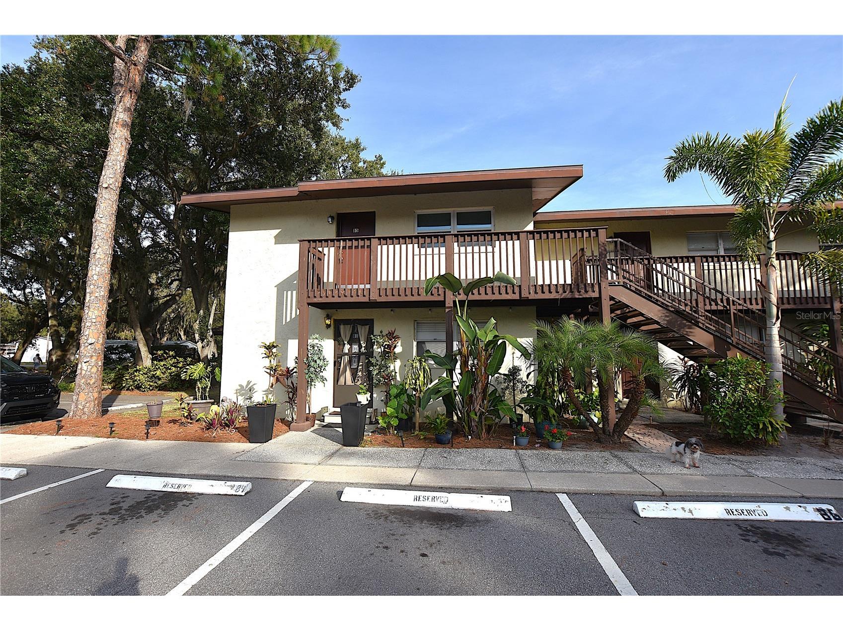 141 Fernery Road #B5 Lakeland FL 33809 L4963727 image29