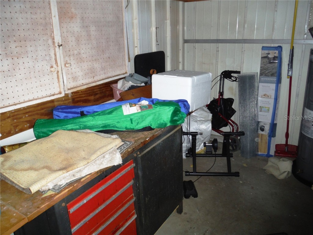 141 Forest Lane #13 Safety Harbor FL 34695 TB8439349 image25