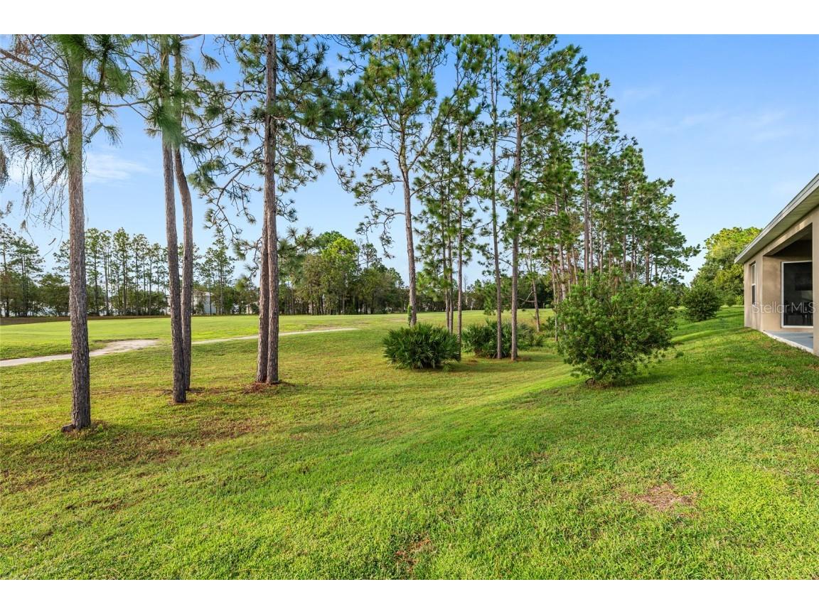 141 Hickory Course Circle Ocala FL 34472 OM712151 image63