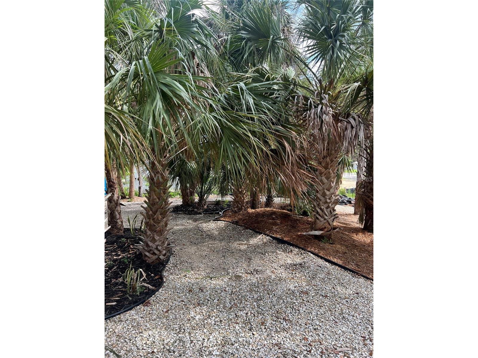 141 Hoffer Street Port Charlotte FL 33953 - APOLLO WATER WAY D6146228 image2