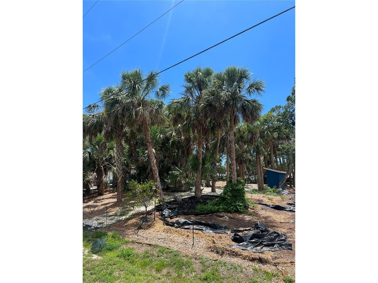 141 Hoffer Street Port Charlotte FL 33953 - APOLLO WATER WAY D6146228 image3