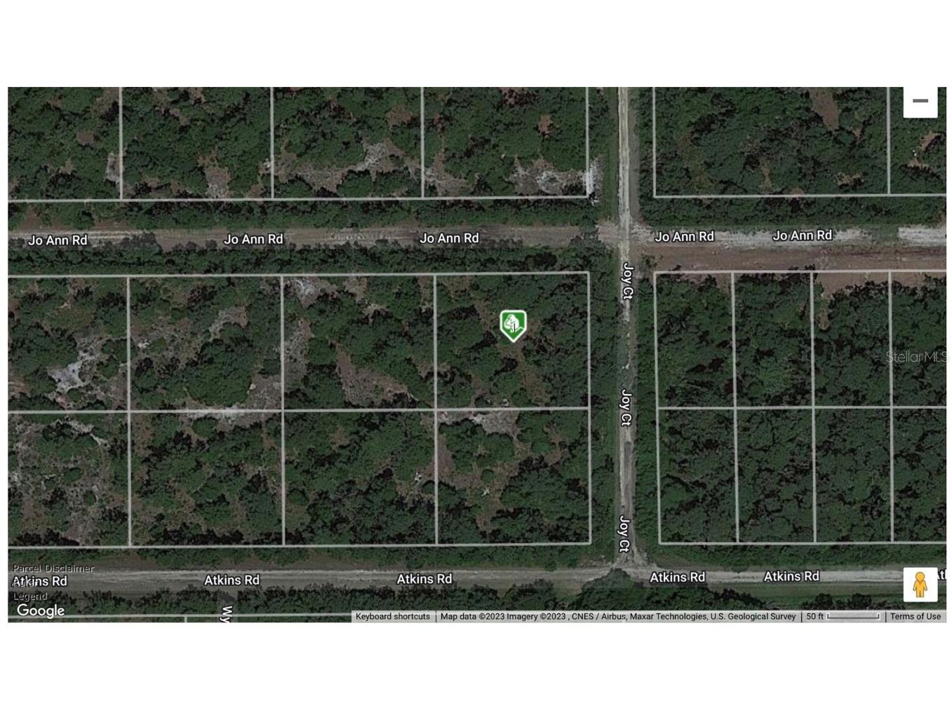 141 Jo Ann Road Georgetown FL 32139 O6075427 image1