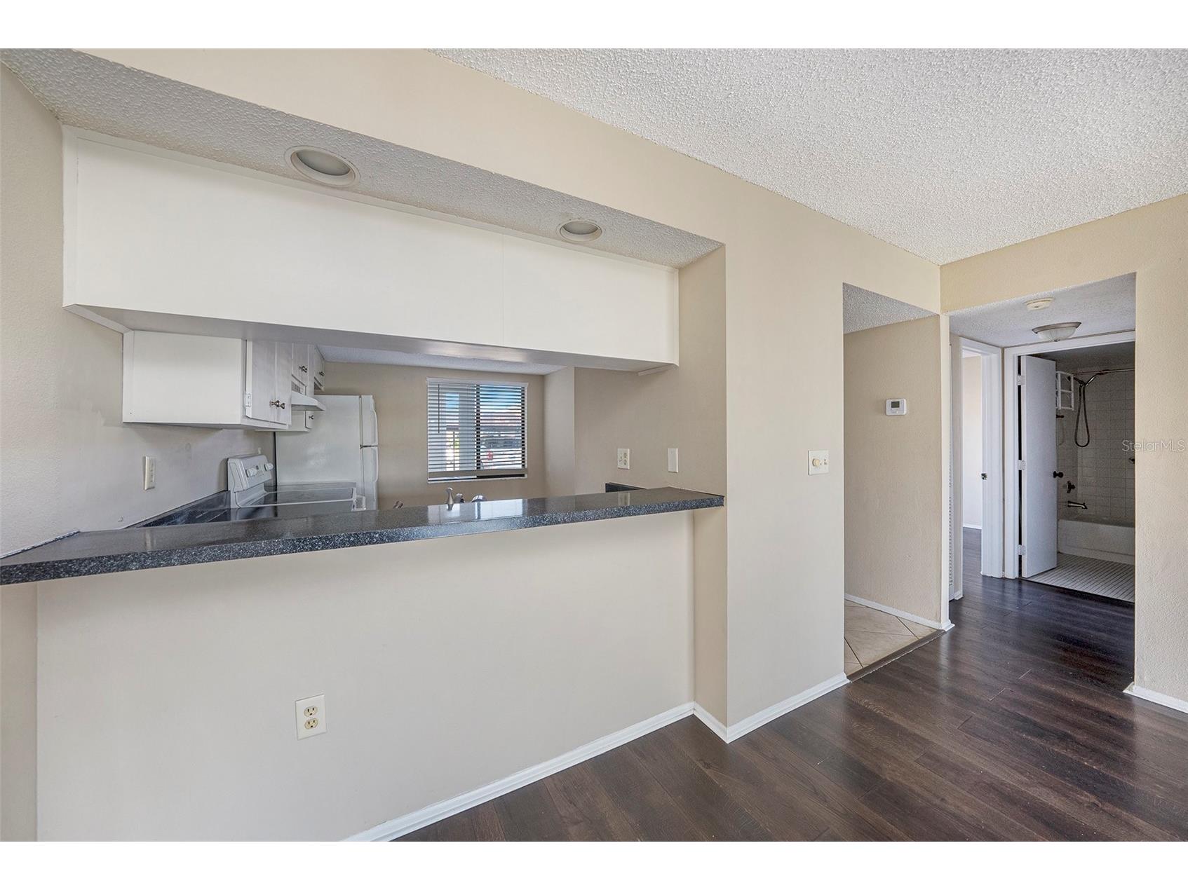 141 Lakeview Way #141 Oldsmar FL 34677 TB8483907 image15