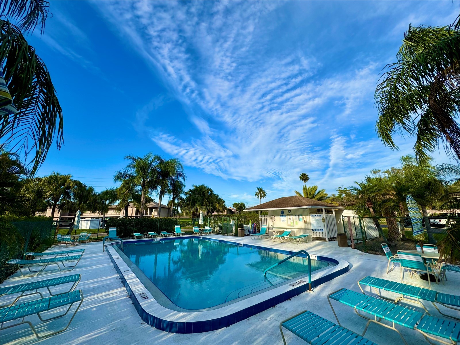 141 Lakeview Way #141 Oldsmar FL 34677 TB8483907 image2
