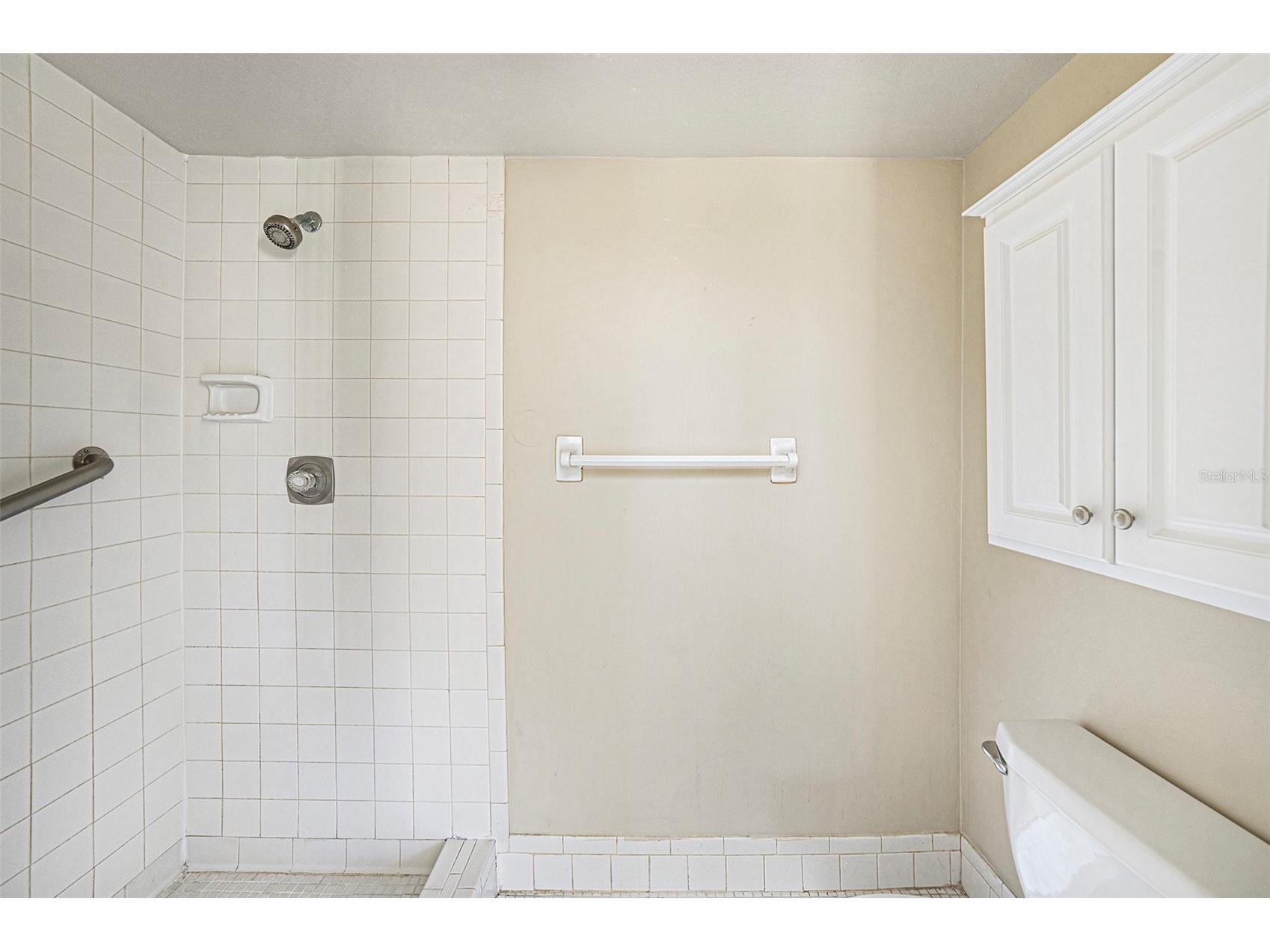 141 Lakeview Way #141 Oldsmar FL 34677 TB8483907 image20