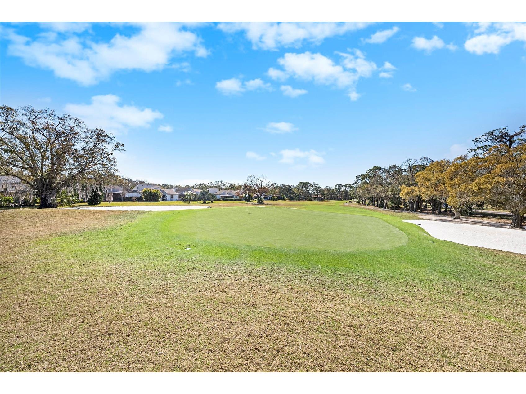 141 Lakeview Way #141 Oldsmar FL 34677 TB8483907 image4