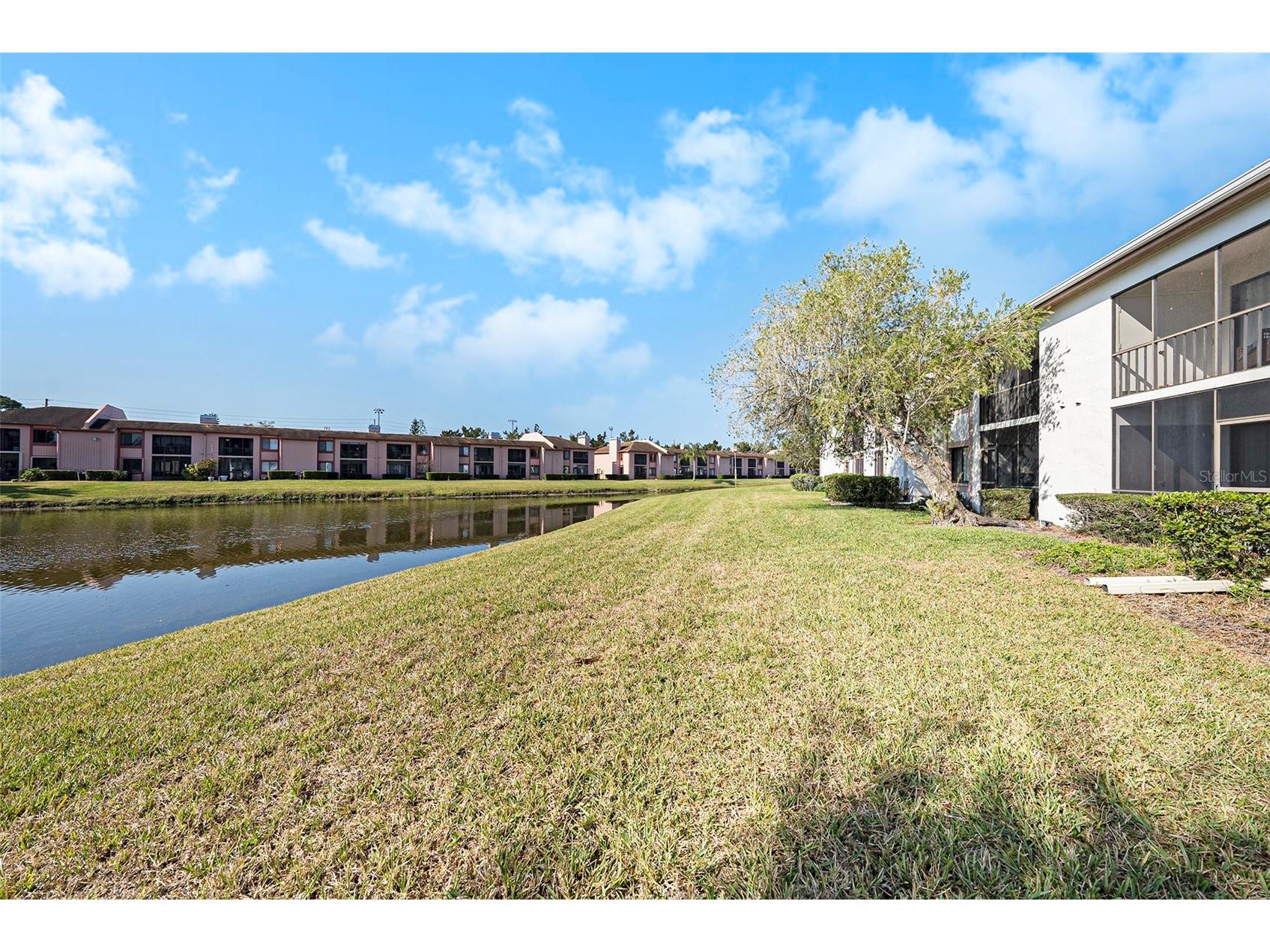 141 Lakeview Way #141 Oldsmar FL 34677 TB8483907 image5