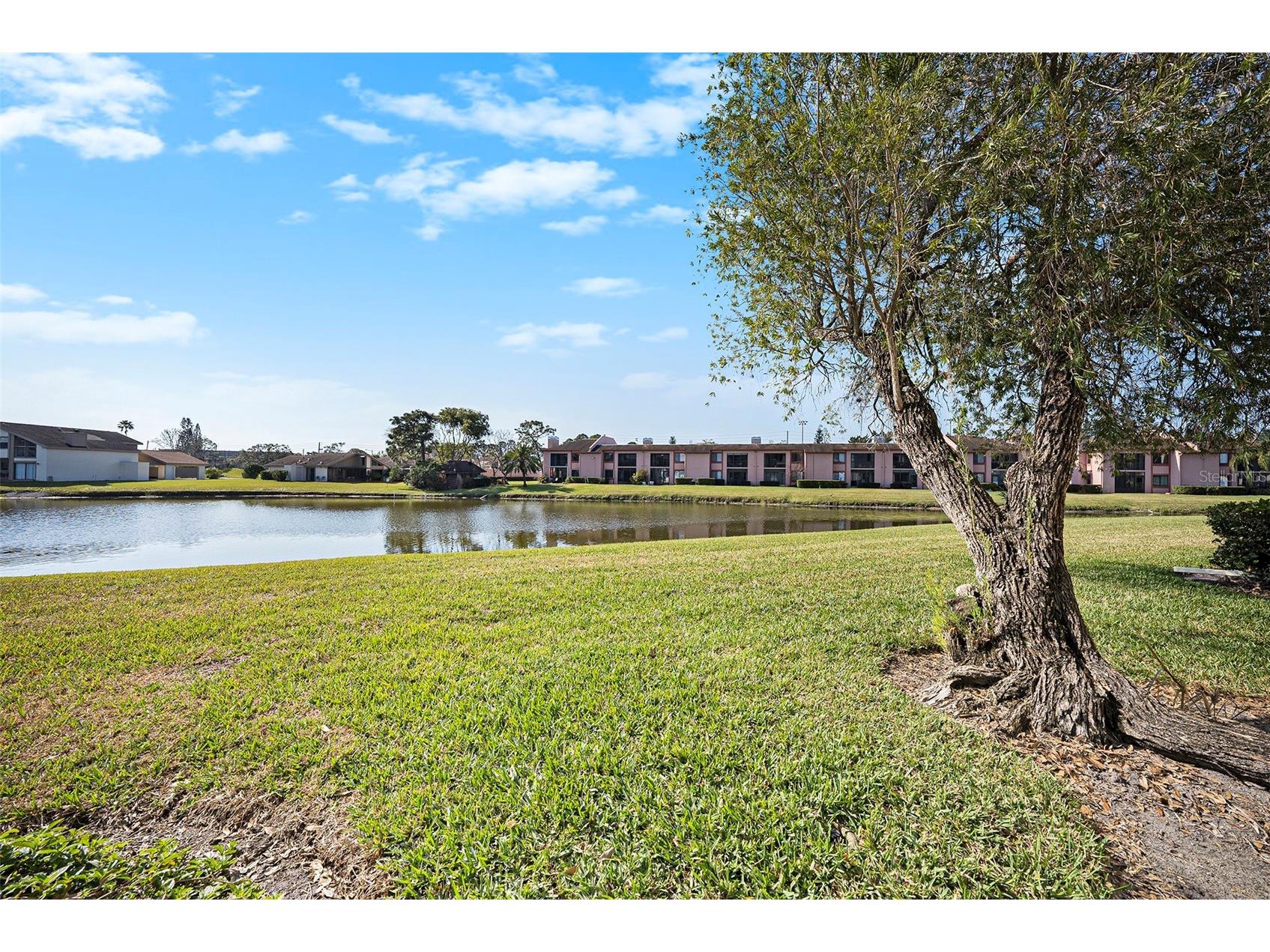 141 Lakeview Way #141 Oldsmar FL 34677 TB8483907 image8