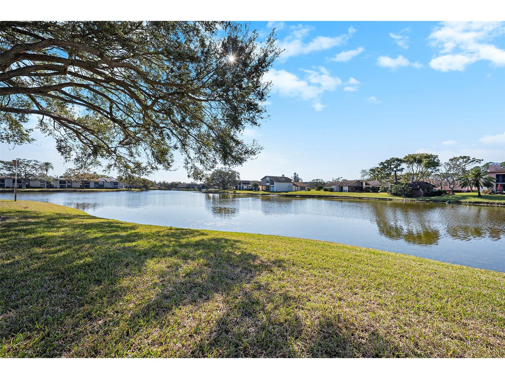 141 Lakeview Way #141 Oldsmar FL 34677 TB8483907 image9