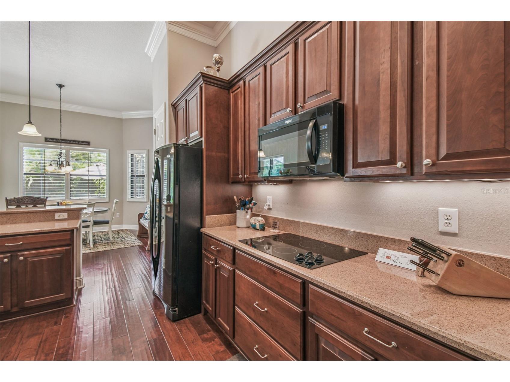 141 Lemon Grove Drive Kissimmee FL 34759 S5132413 image18
