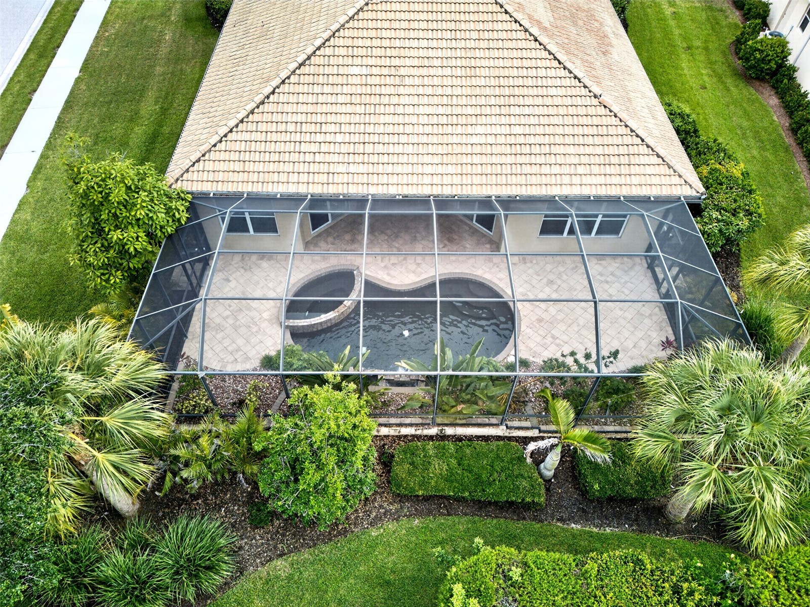 141 Medici Terrace North Venice FL 34275 C7527067 image44