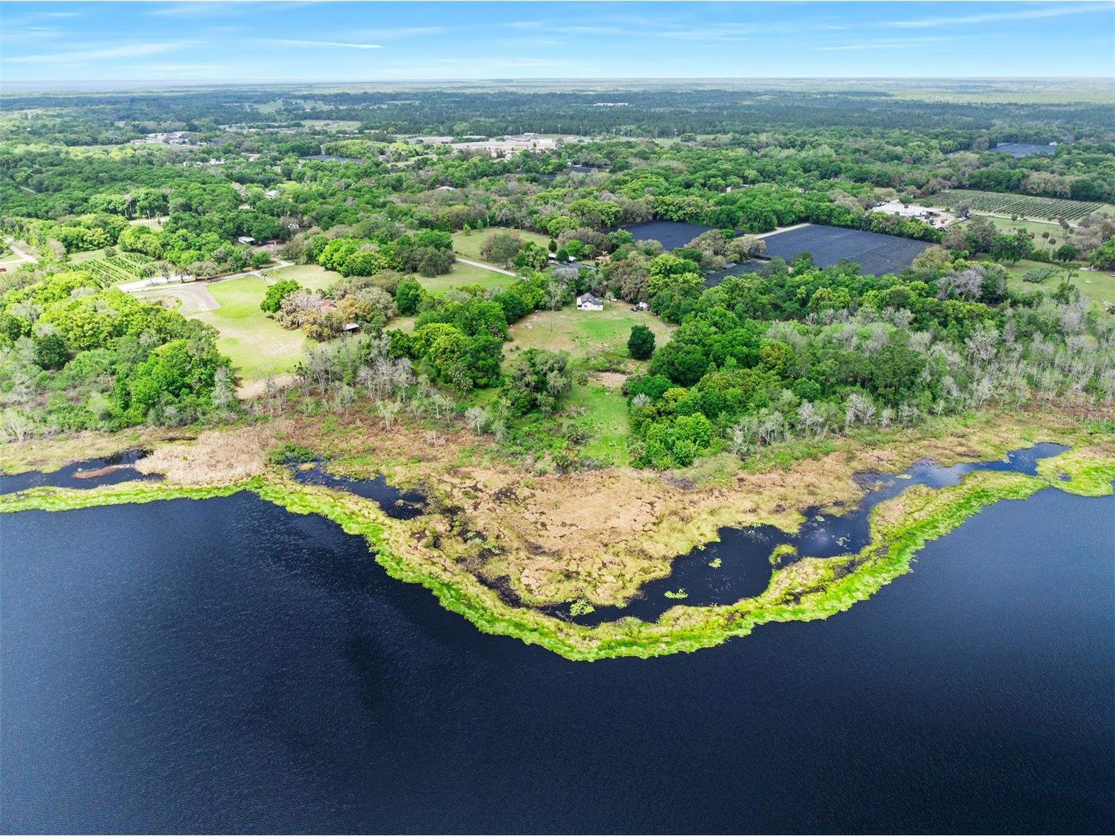141 N Pine Street Pierson FL 32180 - SHAW LAKE V4948725 image3