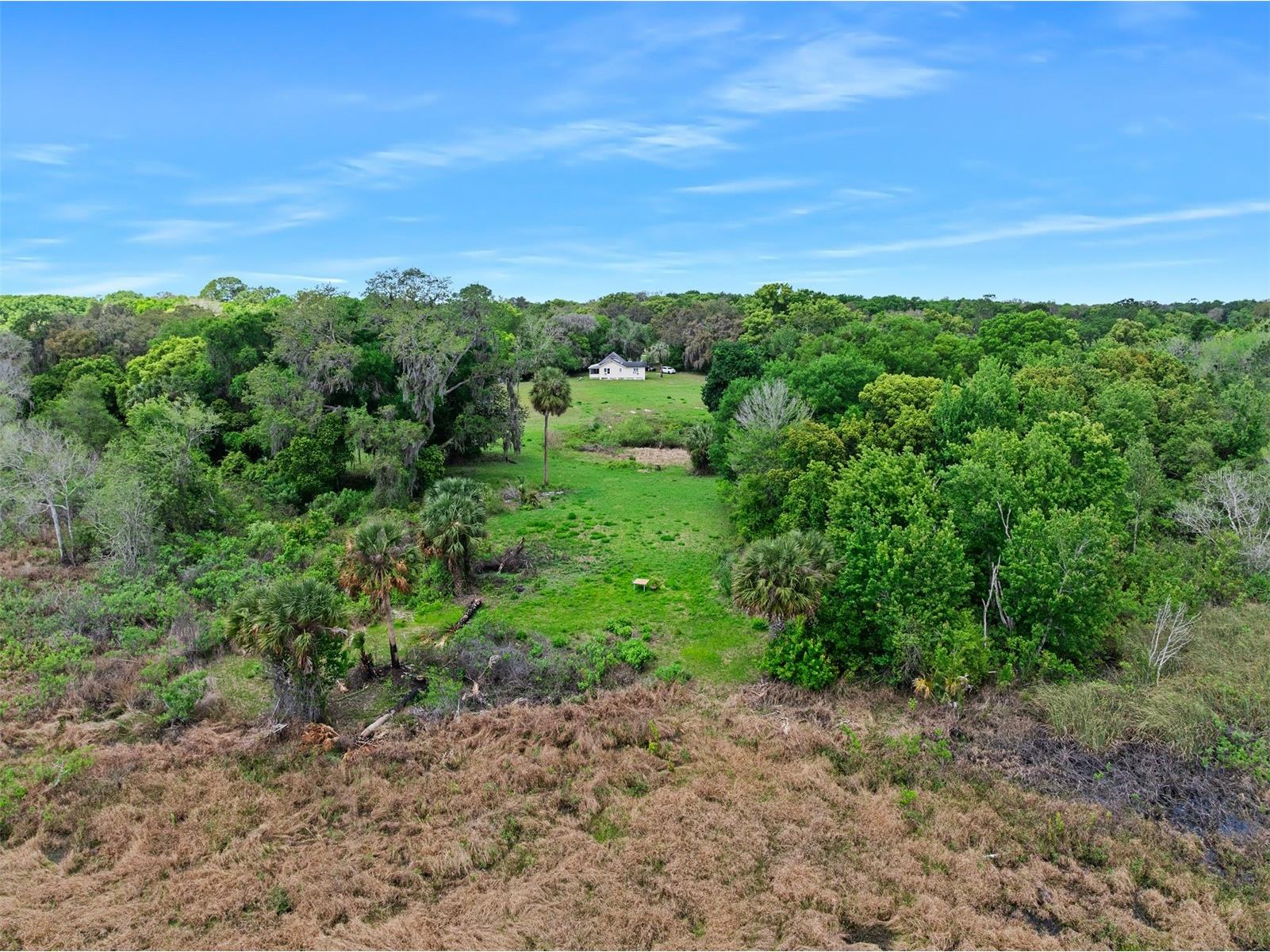 141 N Pine Street Pierson FL 32180 - SHAW LAKE V4948725 image8