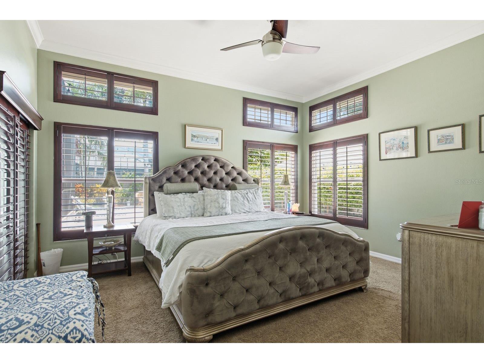 141 Old Oak Circle Palm Harbor FL 34683 TB8516934 image22