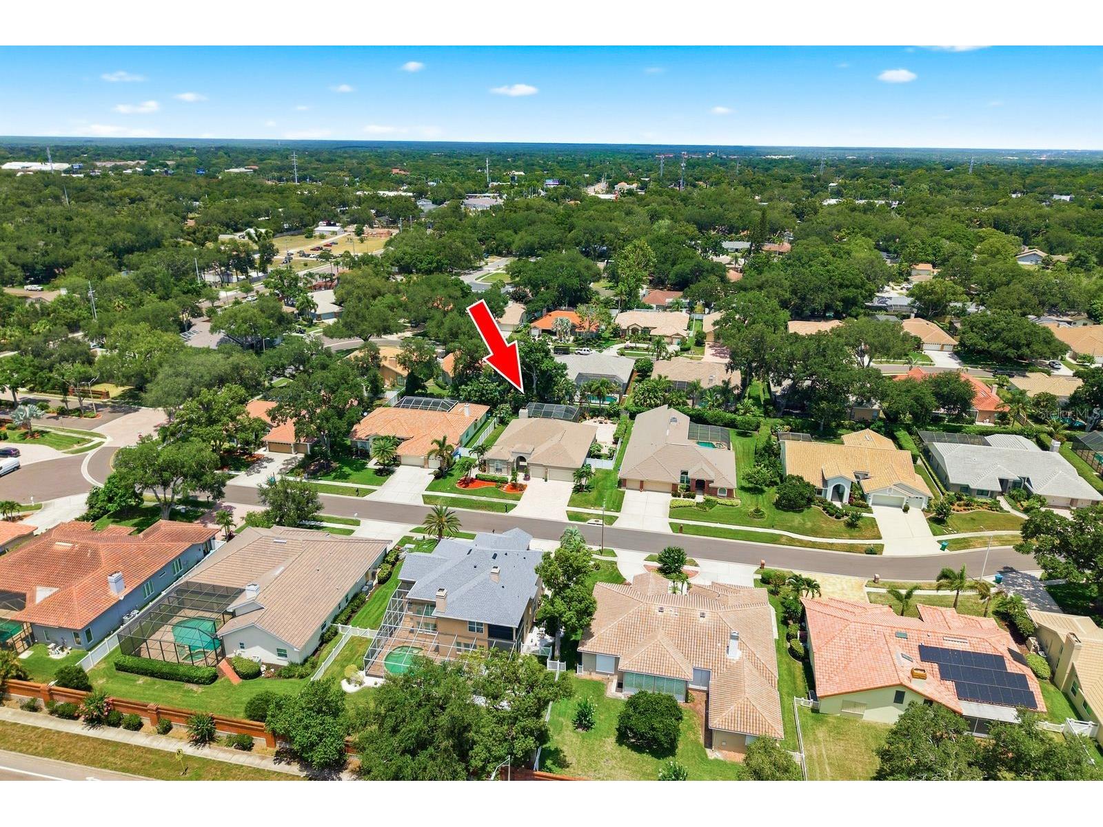 141 Old Oak Circle Palm Harbor FL 34683 TB8516934 image43