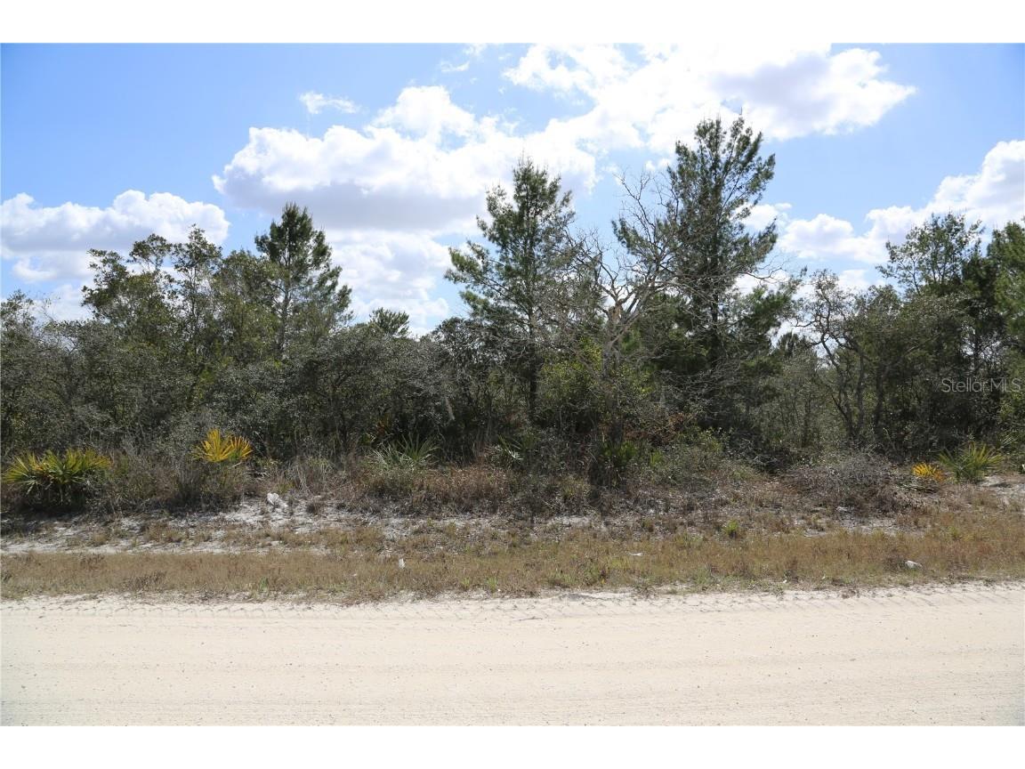 141 Palm Beach Street Lake Placid FL 33852 P4919548 image1