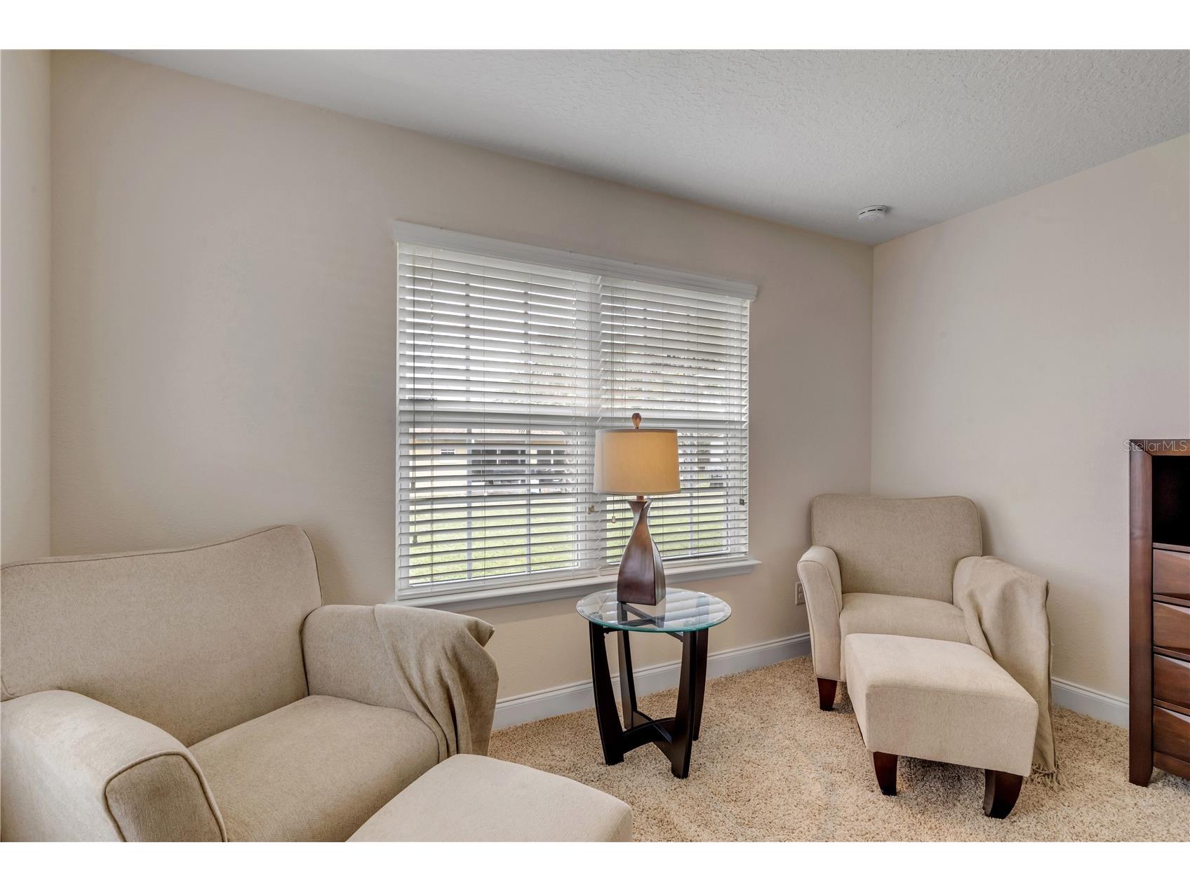 141 Red Mill Drive Palm Coast FL 32164 NS1087655 image26