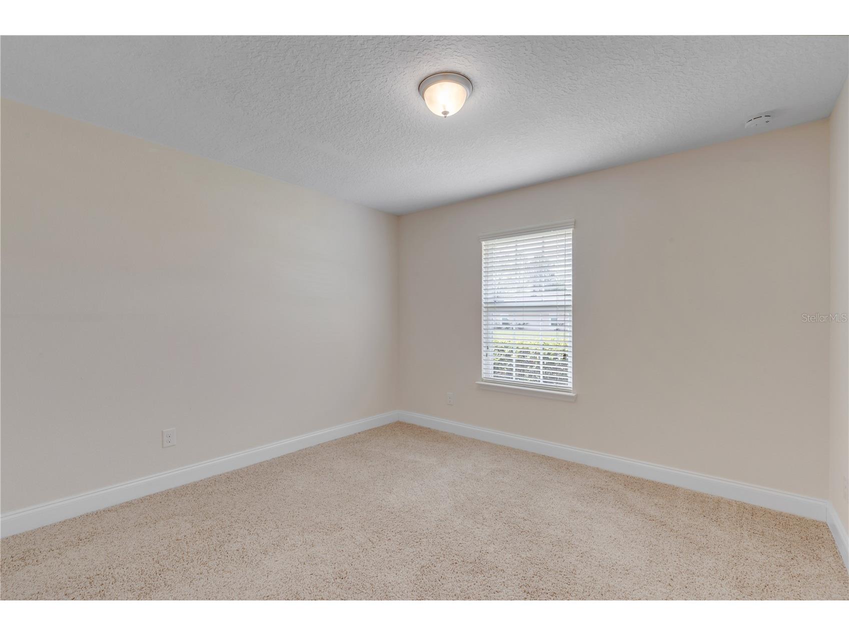 141 Red Mill Drive Palm Coast FL 32164 NS1087655 image31