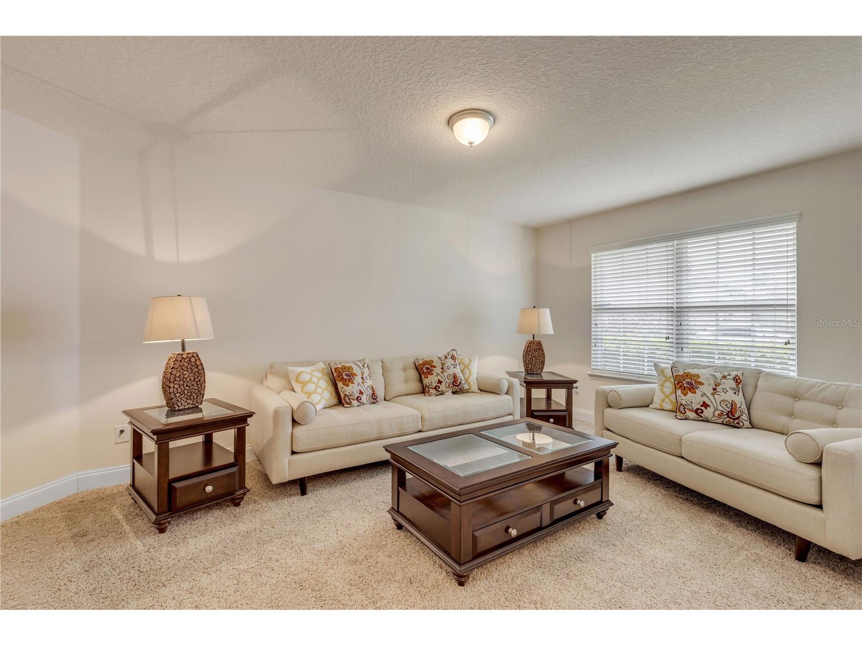 141 Red Mill Drive Palm Coast FL 32164 NS1087655 image9