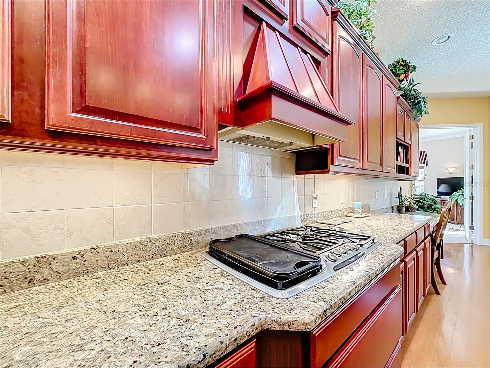 141 SE 2nd Avenue Crystal River FL 34429 - HUNTER SPRINGS TB8477800 image26