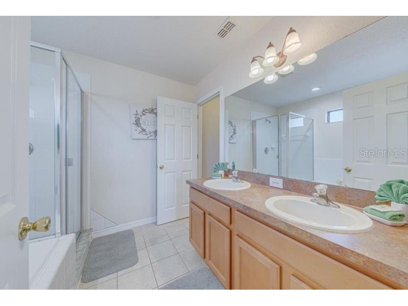 141 Summer Place Loop Clermont FL 34714 S5124846 image29