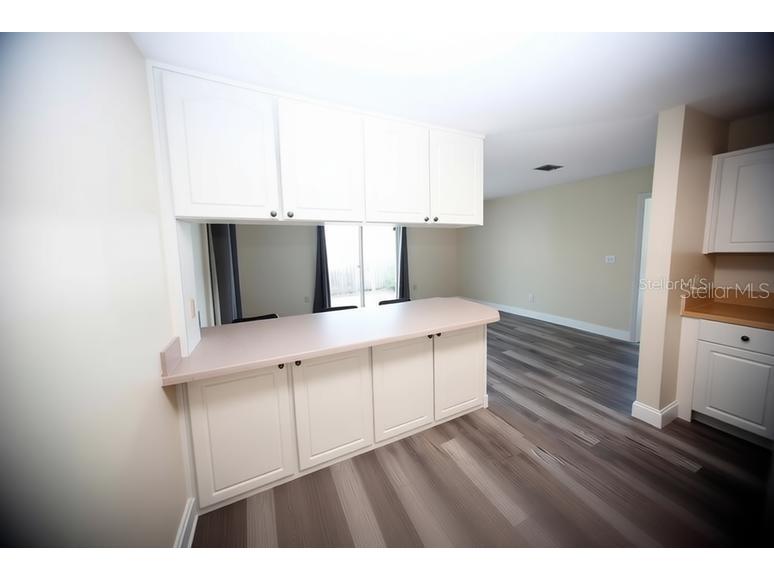 141 W Connecticut Avenue Edgewater FL 32132 NS1088021 image8