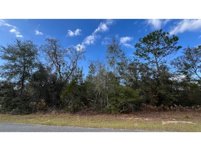 141 W Ruska Place Citrus Springs FL 34434 O6368839 image2