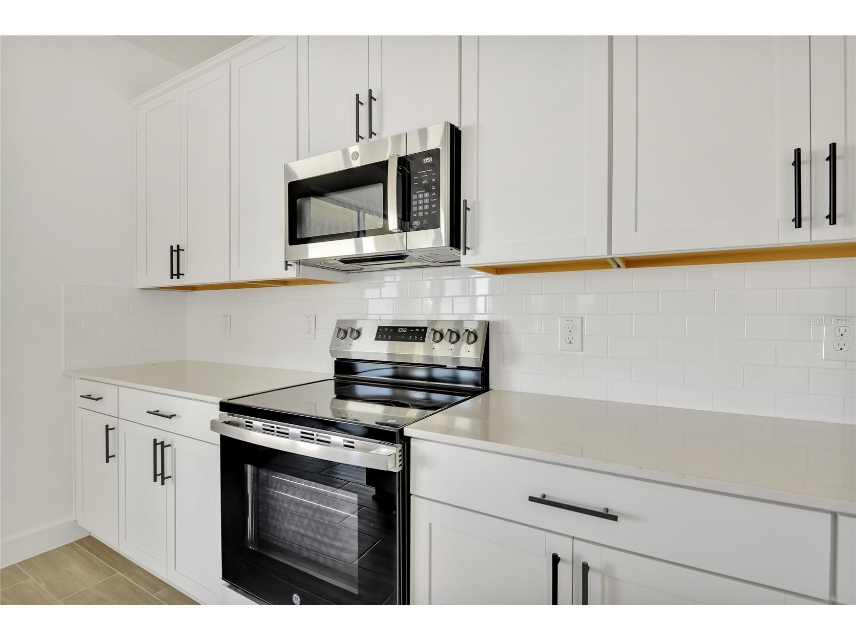 141 Waterstone Loop Tavares FL 32778 S5151828 image8