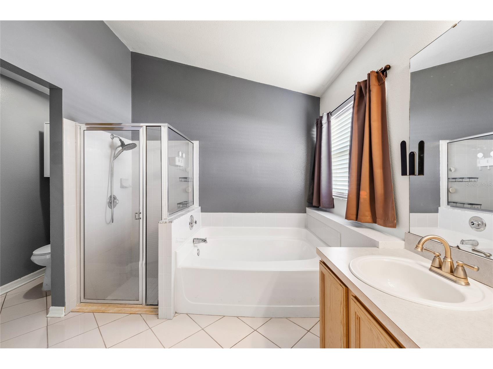 141 White Marsh Circle Orlando FL 32824 O6389780 image28