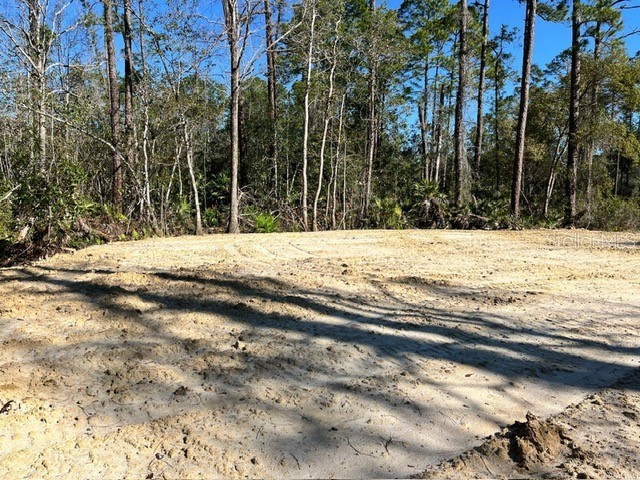 1410 10th Avenue Deland FL 32724 O6298203 image1