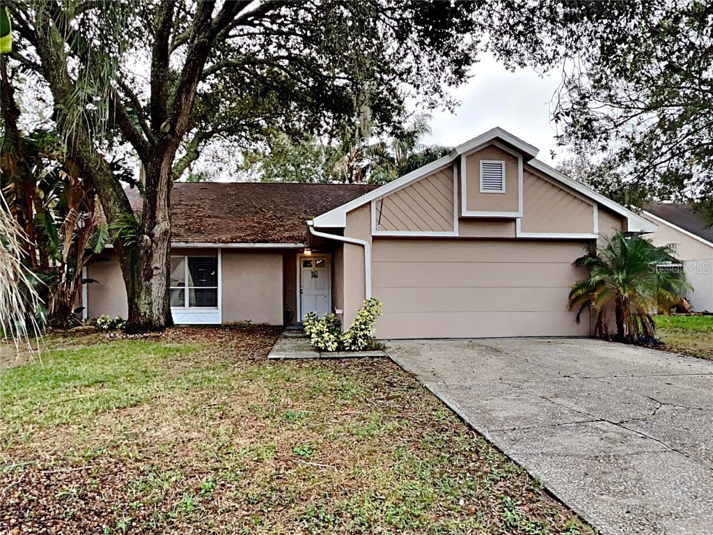1410 Cloverfield Drive Brandon FL 33511 T3422487 image1