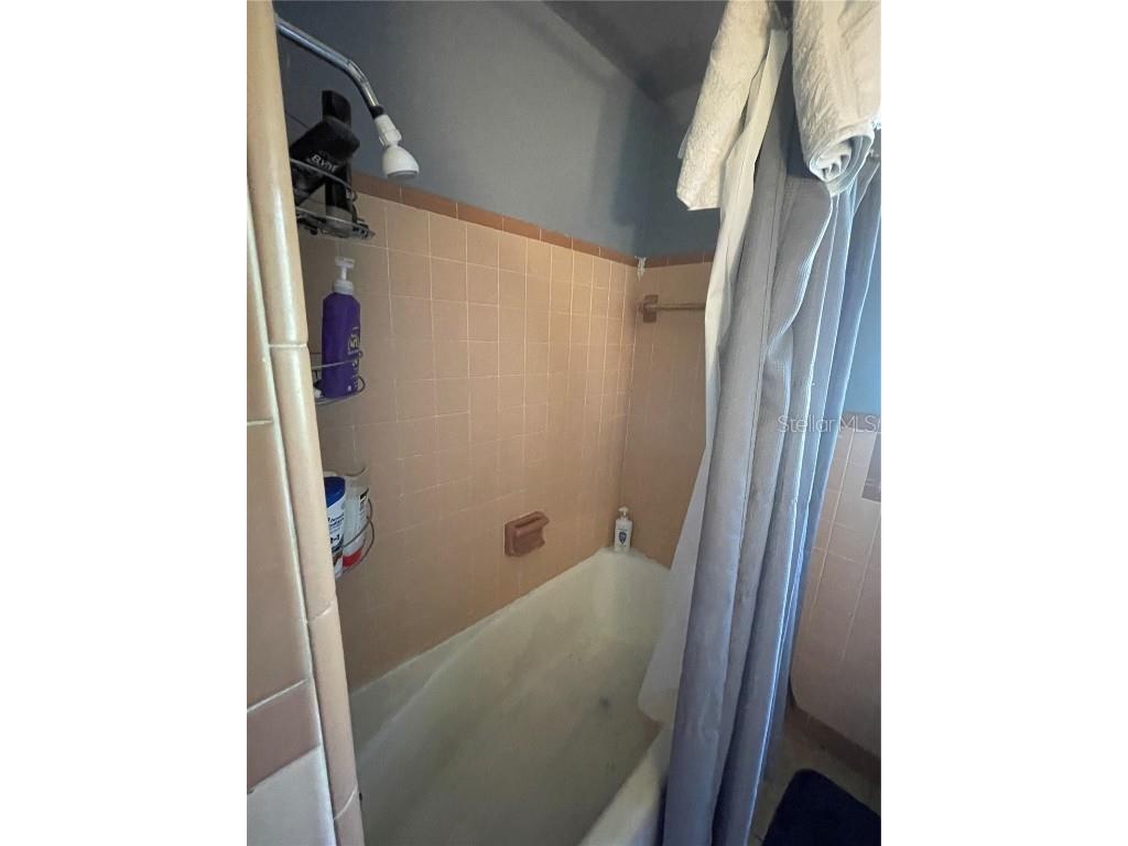 1410 E Fern Road Lakeland FL 33801 V4945514 image13