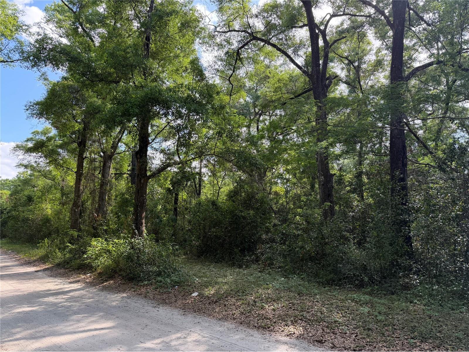 1410 NW 10th Street Chiefland FL 32626 GC539408 image1