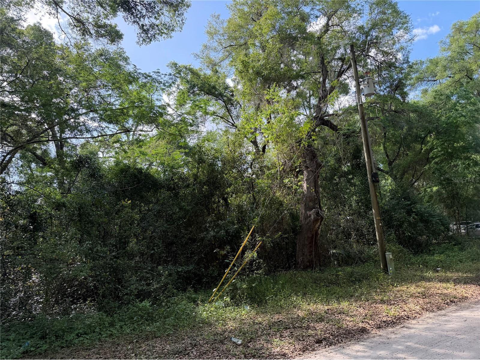 1410 NW 10th Street Chiefland FL 32626 GC539408 image3