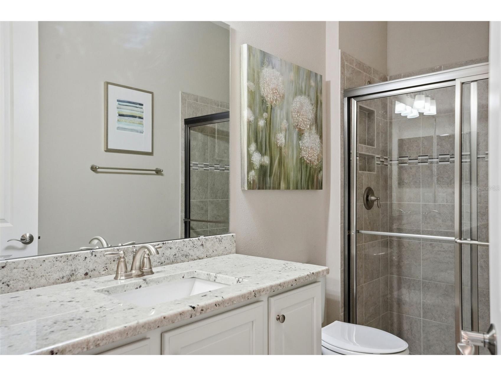 14100 Bassingthorpe Drive Spring Hill FL 34609 W7885174 image65