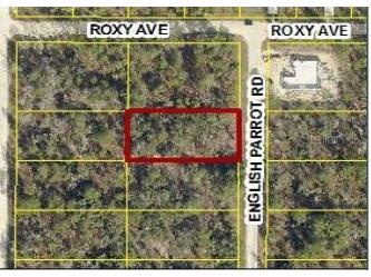 14100 English Parrot Road Weeki Wachee FL 34614 W7865377 image1