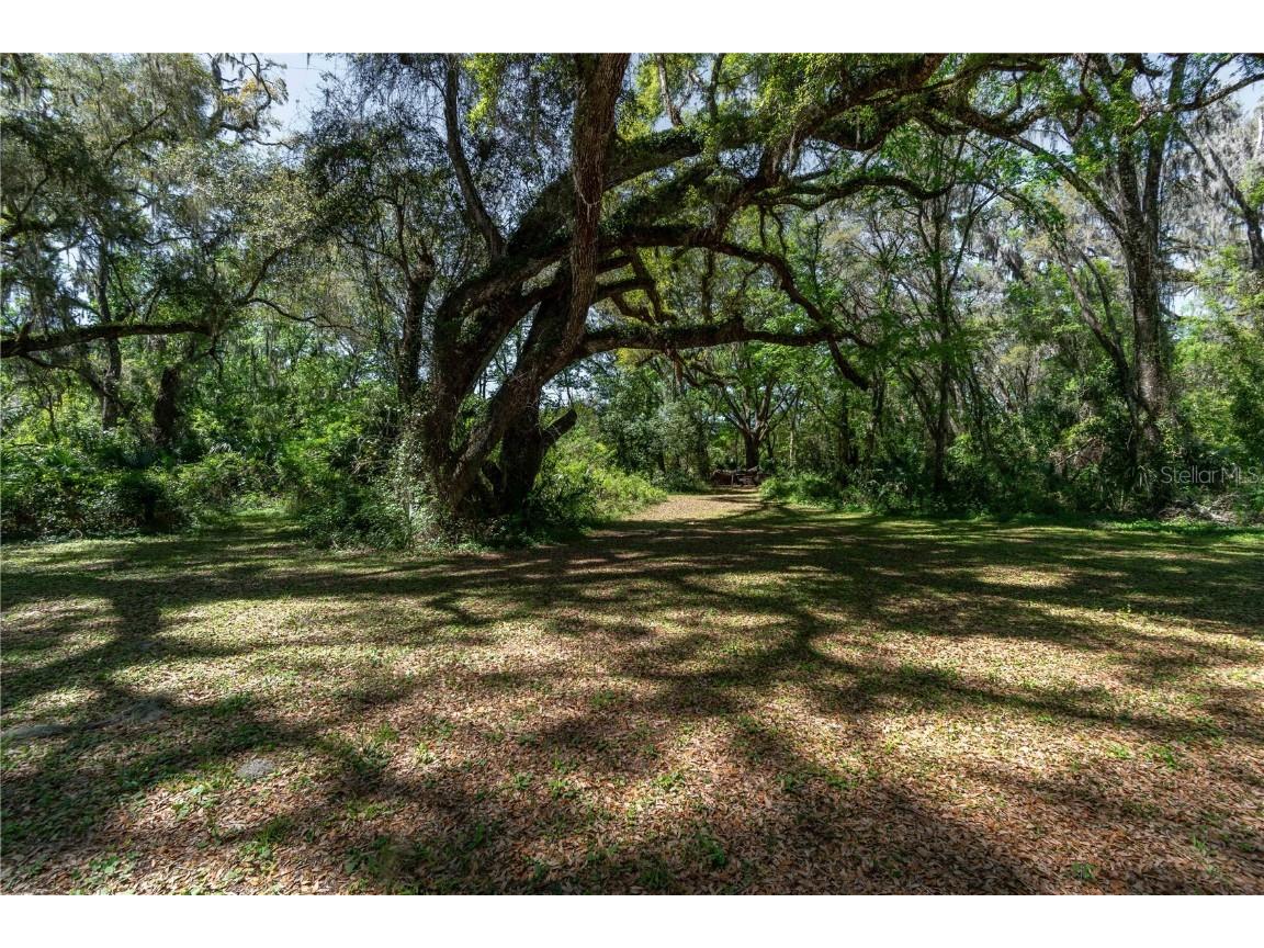 14100 NE 40th Court Anthony FL 32617 - Meadowbrook Lake OM697203 image17