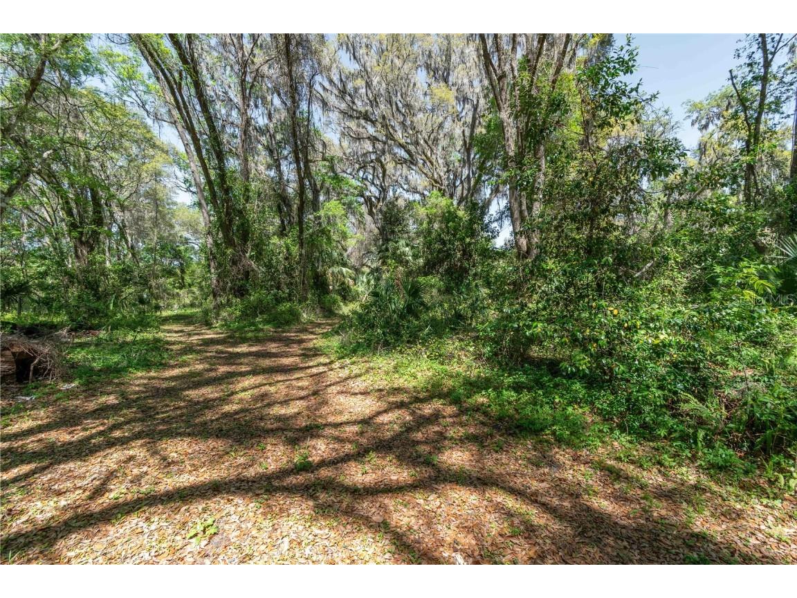 14100 NE 40th Court Anthony FL 32617 - Meadowbrook Lake OM697203 image20