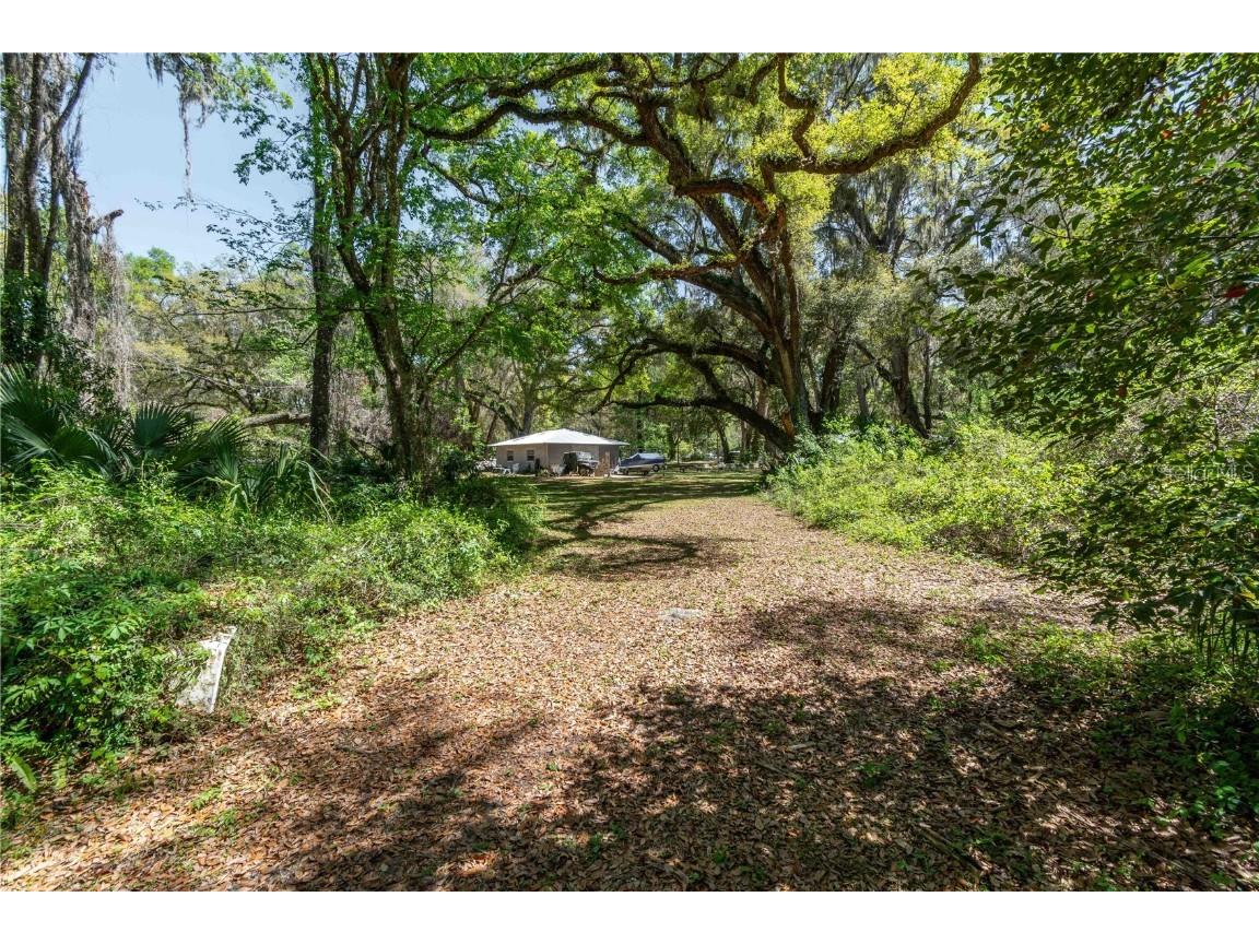 14100 NE 40th Court Anthony FL 32617 - Meadowbrook Lake OM697203 image21